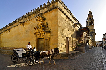 Horse drawn carriage in front of the cathedral La Mezquita, Cordoba, Andalusia, Spain, Europe