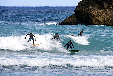 Jamaica Boston bay surfer