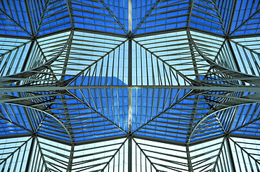 Glass roof of Lisbon Orient Station, Santiago Calatrava, Lisbon, Portugal, Europe