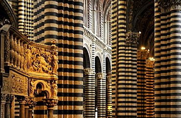 Interior view of the cathedral, Siena, Tuscany, Italy, Europe