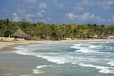 Jamaica Long bay at east coast after Hurricane Dean destroyd palm trees and beach bars and houses