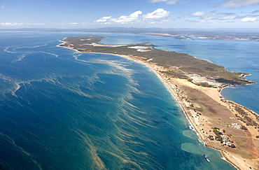 Gladstone peninsula during the coral spawning period, aerial photo, Gladstone, Queensland, Australia