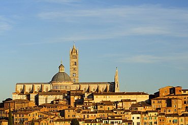 Siena Cathedral rising above the houses of siena, Siena, UNESCO World Heritage Site Siena, Tuscany, Italy