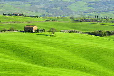 Country house on hilly meadows, Val dÂ¥Orcia, UNESCO World Heritage Site Val dÂ¥Orcia, Tuscany, Italy