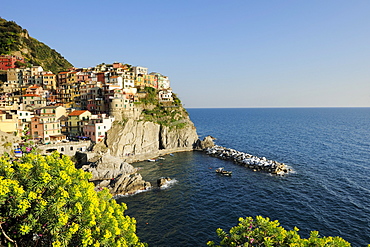 View towards bay and houses of Manarola, Manarola, Cinque Terre, UNESCO World Heritage Site Cinque Terre, Mediterranean, Liguria, Italy