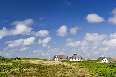 Thatched-roof houses, Kampen, Sylt, Schleswig-Holstein, Germany