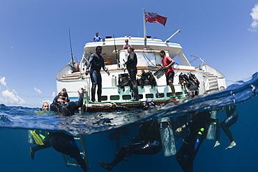 Diver ascending at Liveaboard Fiji Island Dancer, Wakaya, Lomaiviti, Fiji