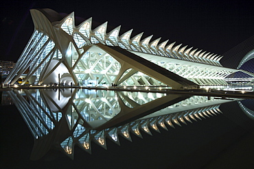 Museo de las Ciencias PrÃŒncÃŒpe Felipe, Architect Santiago Calatrava, Valencia, Spain