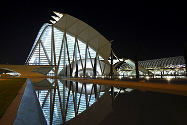 Museo de las Ciencias PrÃŒncÃŒpe Felipe, Architect Santiago Calatrava, Valencia, Spain