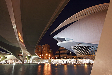 Palau de les Arts Reina SofÃŒa, Architect Santiago Calatrava, Av Autopista del Saler, Pont de Pont de Montolivet, Valencia, Spain