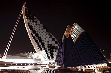 Agora, Architect Santiago Calatrava, Valencia, Spain