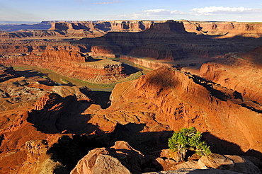 Dead Horse Point State Park, Canyonlands National Park, Utah, USA