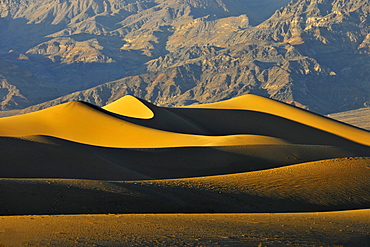 Sand dunes, Stovepipe Wells, Death Valley National Park, the hottest and driest of the national parks in the USA, California, USA