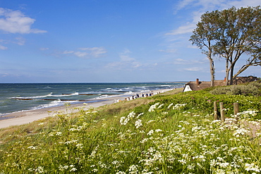 House with thatched roof on the beach, Ahrenshoop, Fischland-Darss-Zingst, Baltic Sea, Mecklenburg-West Pomerania, Germany