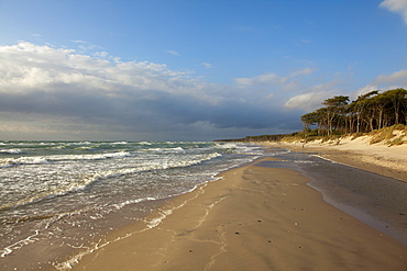 Thunderclouds above Darss west beach, Fischland-Darss-Zingst, Baltic Sea, Mecklenburg-West Pomerania, Germany