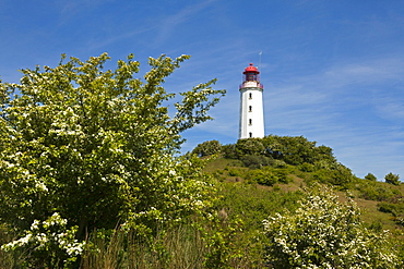 Lighthouse at Dornbusch, Hiddensee island, Baltic Sea, Mecklenburg-West Pomerania, Germany