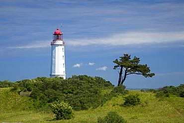 Lighthouse at Dornbusch, Hiddensee island, Baltic Sea, Mecklenburg-West Pomerania, Germany