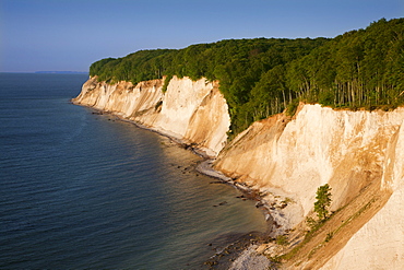 Chalk cliffs, Ruegen island, Jasmund National Park, Baltic Sea, Mecklenburg-West Pomerania, Germany