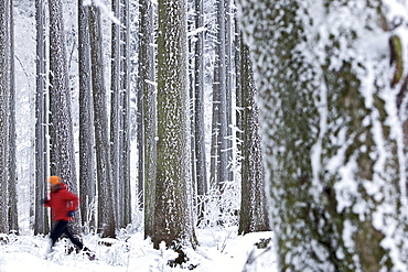 Man jogging through winter scenery, Irsee, Bavaria, Germany