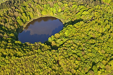 Aerial view of Windsborn crater lake, rural district of Daun, Eifel, Rhineland Palatinate, Gemany, Europe