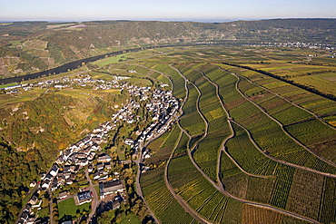 Aerial view of the Moselle river at Neumagen and Dhron, Eifel, Rhineland Palatinate, Gemany, Europe