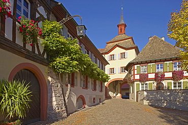 Burkheim, Historic city with city gate, Kaiserstuhl, Baden Wuerttemberg, Germany, Europe