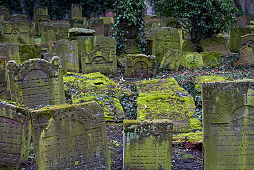 Jewish cemetery Battonnstrasse, it is the oldest jewish cemetery in Frankfurt, Frankfurt am Main, Hesse, Germany, Europe