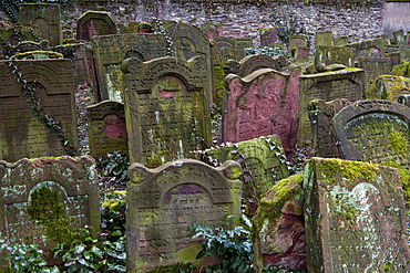 Jewish cemetery Battonnstrasse, it is the oldest jewish cemetery in Frankfurt, Frankfurt am Main, Hesse, Germany, Europe