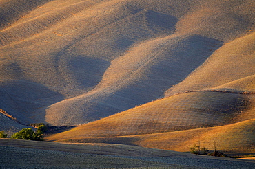 View of hilly landscape of the Crete, Tuscany, Italy, Europe