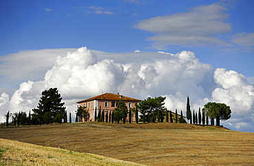 Homestead on a hill, Tuscany, Italy, Europe