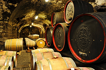 Wine barrels in the winery Bolzano, Bolzano, South Tyrol, Italy, Europe