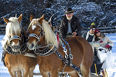 People in a horse drawn slay in snowy landscape, Alto Adige, South Tyrol, Italy, Europe