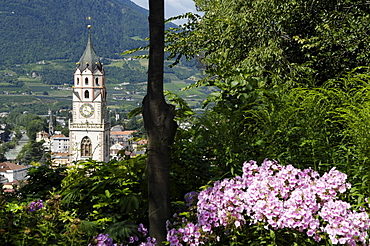 View from Tappeiner promenade onto steeple in the sunlight, Merano, Alto Adige, South Tyrol, Italy, Europe