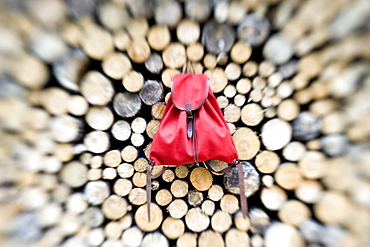 Red rucksack at a pile of wood, Alto Adige, South Tyrol, Italy, Europe