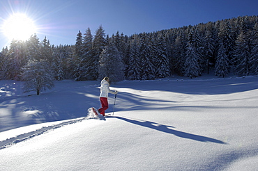 One person snowshoeing in snowy landscape, Alto Adige, South Tyrol, Italy, Europe