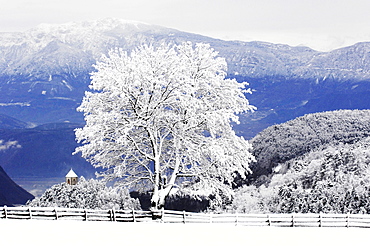 Snowcapped landscape, Oberbozen, Ritten, Alto Adige, South Tyrol, Italy