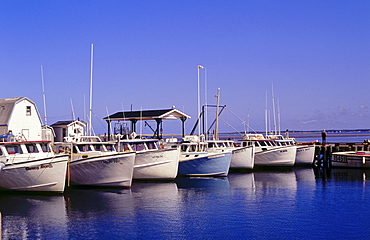 A line of fishing boats, North Rustico, Province Prince Edward Island, Canada