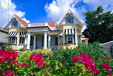 Flowers in front of a residential house in the sunlight, St. George, Grenada, Caribbean, America