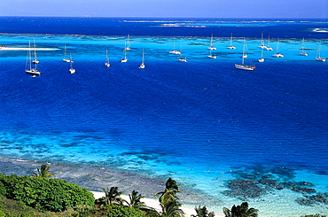 View at boats in a bay in the sunlight, Horseshoe Reef, Tobago Cays, St. Vincent, Grenadines, Carribean, America