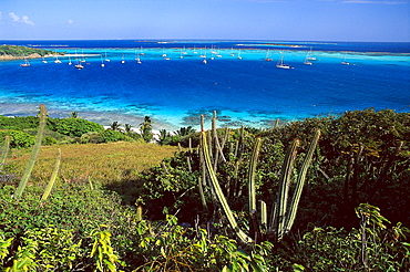 View at boats in a bay in the sunlight, Horseshoe Reef, Tobago Cays, St. Vincent, Grenadines, Carribean, America