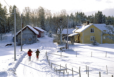 Two cross country skiers on a snow covered road in the sunlight, Vastergotland, Sweden