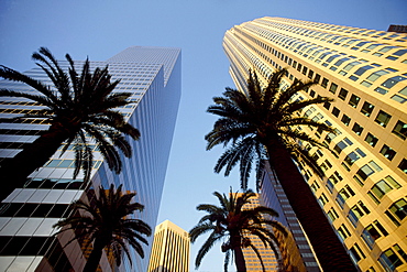 First Interstate World Center, on the right, Los Angeles, California, USA