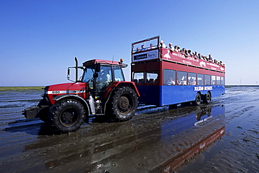 Mandobussen tourist bus crossing the wadden sea at Mando Dam, Near Mando, Denmark