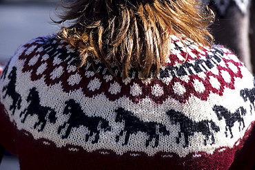 Icelandic Horse Sweater, Ã•safjoerdur, Isafj'rdur, Ã•safjardarbar, Iceland