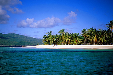 Beach with palm trees, Cayo Levantado Bahia de Samana, Cayo Levantado, Bahia de Samana, Samana Peninsula, Dominican Republic, Antilles, Caribbean