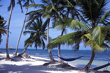 Hotel Beach, San Pedro, Ambergris Caye, Belize, Caribbean Sea, Carribean, Central America, North America