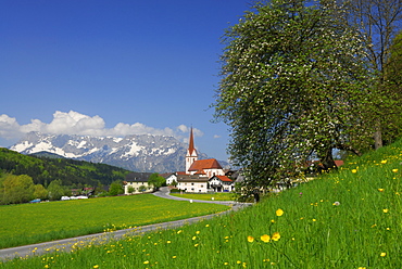 church of Adnet with Untersberg, Hochthron, Salzkammergut, Salzburg, Austria