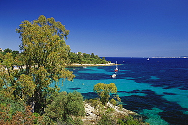 Boats in a bay in the sunlight, Cote d' Azur, Provence, France, Europe