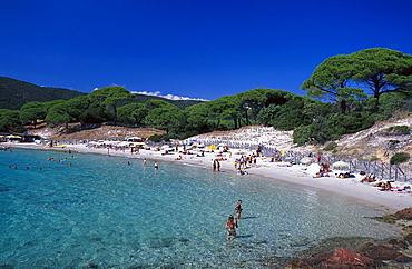 Beach Plage de Palambaggio, east coast near Porto-Vecchio, Corsica, France