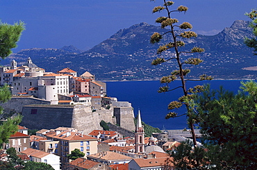 Citadel, Calvi Corsica, France